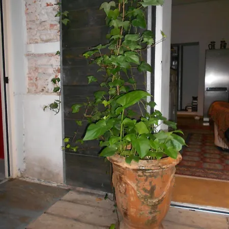 Nocleg ze śniadaniem Le Crocodile Rouge Perpignan